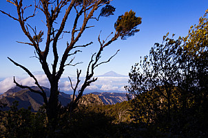 Vista del Teide - La Gomera