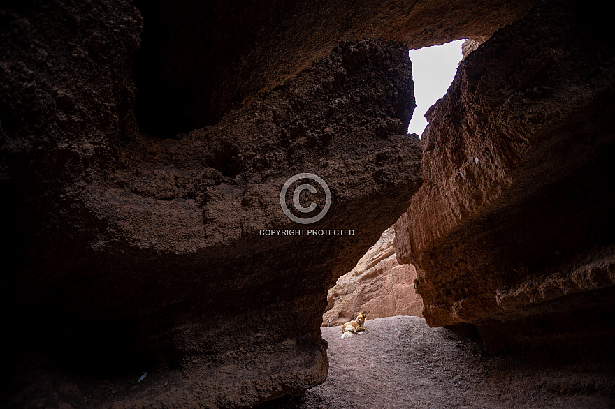 Cueva de Montaña Cabrera