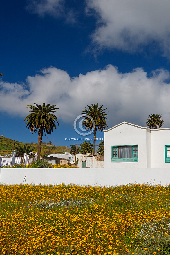 On the Road - Lanzarote