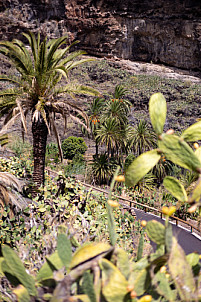 Barranco de Santiago - La Gomera