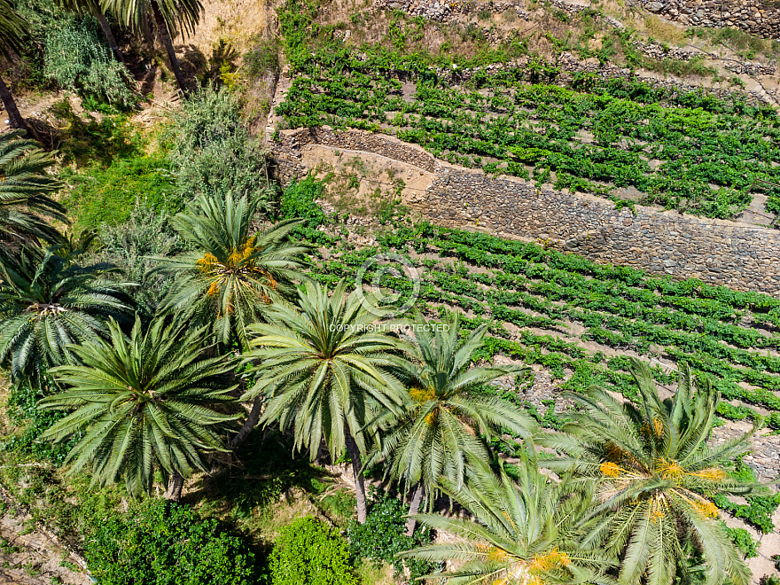 Macayo - Vallerhemoso - La Gomera