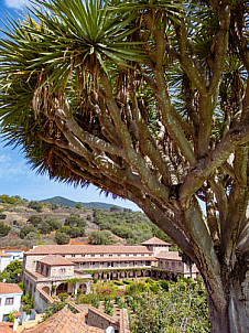 Convento de las Dominicas