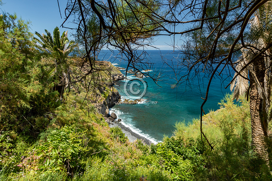 Rambla de Castro - Tenerife