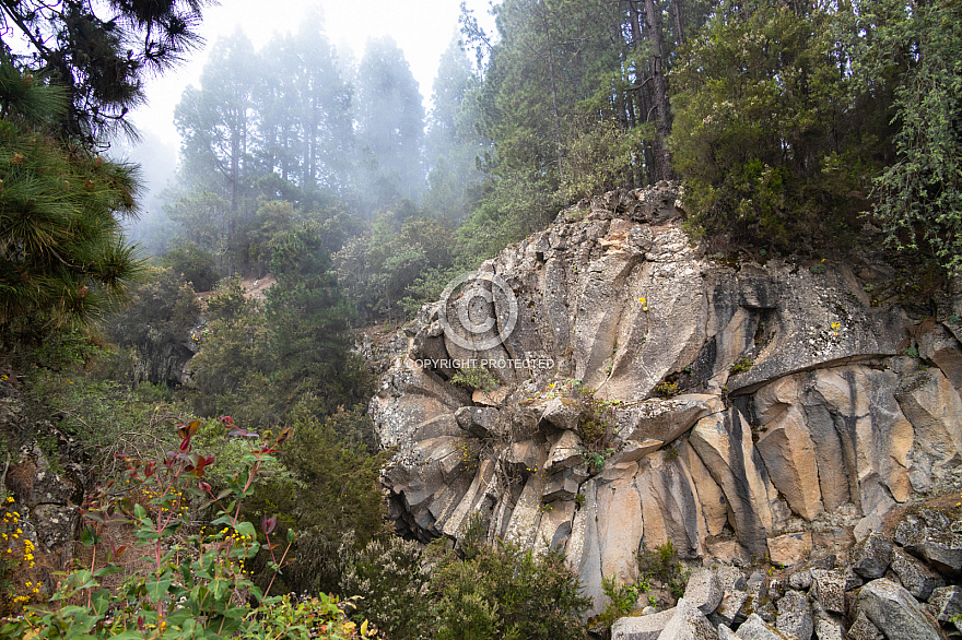 Rosa de Piedra - Tenerife