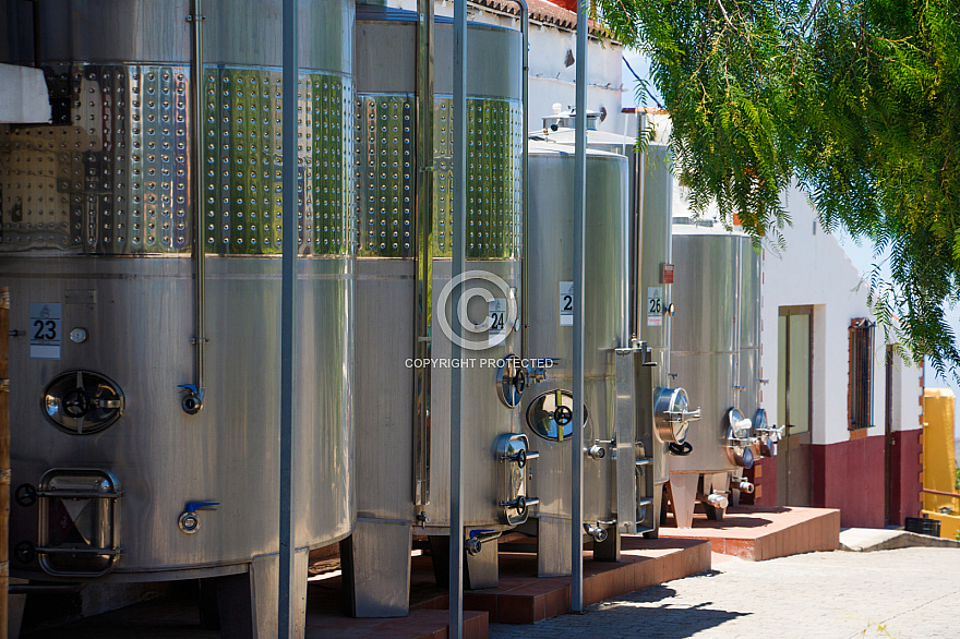 Bodega Reverón - Tenerife