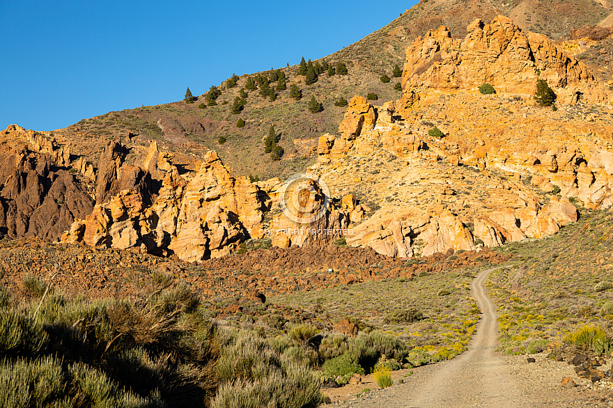 Tenerife: Las Cañadas, Tajinates