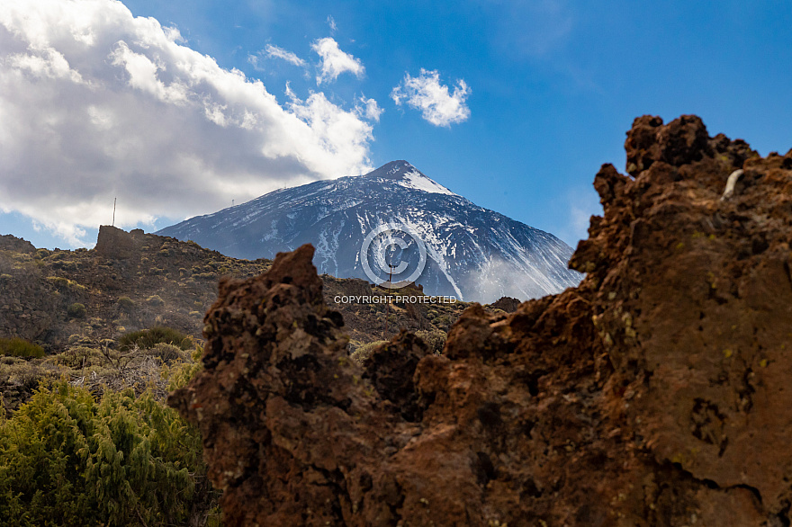 Centro de Visitantes de El Portillo Parque Nacional del Teide - Jardín Botánico - Tenerife