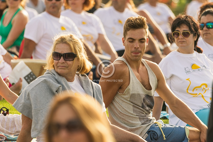 International Yoga Day