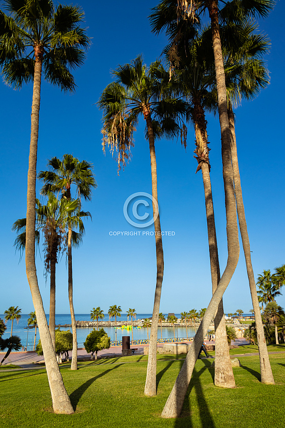 Playa de Amadores