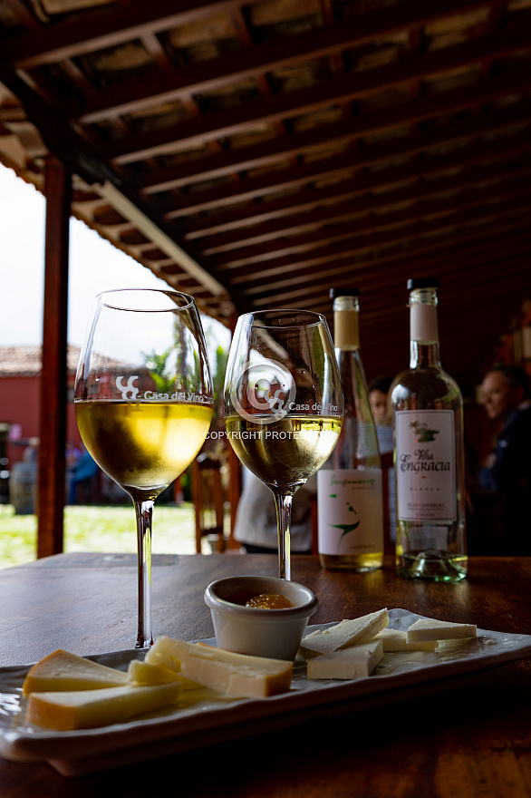 Casa del Vino - Tenerife