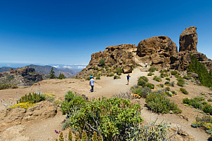 Roque Nublo