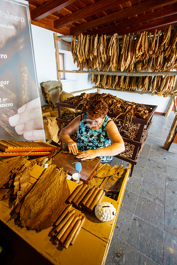 Museo del Puro Palmero - La Palma