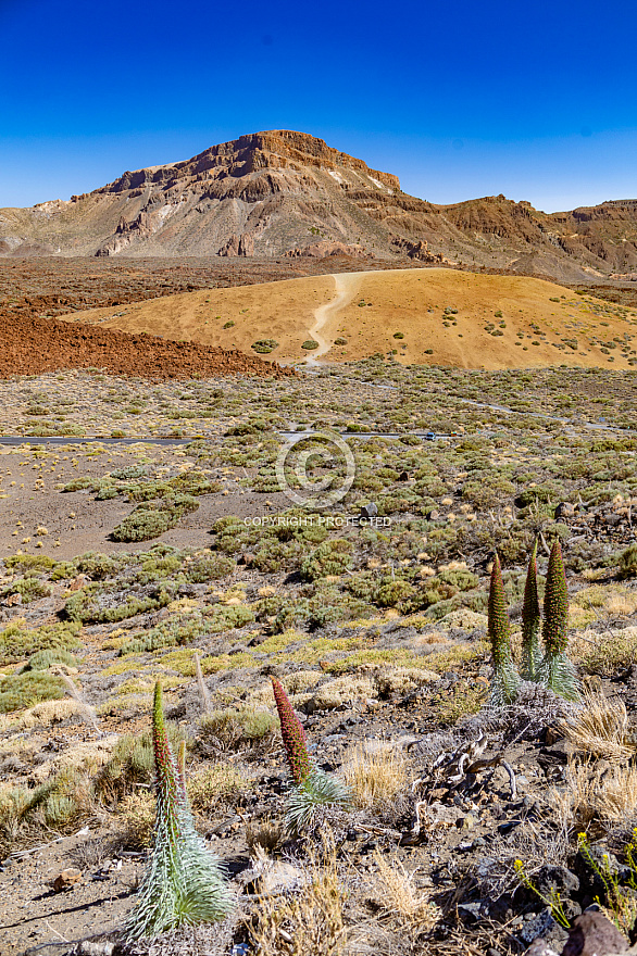 Teide - Tenerife