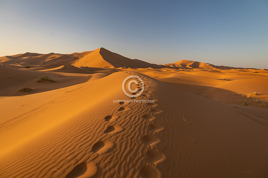 Erg Chebbi