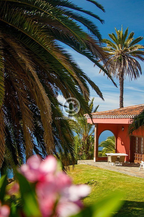 Terrazas del Sauzal - Tenerife