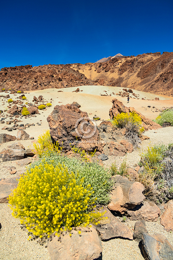 Tenerife: Minas de San Jose, Las Cañadas