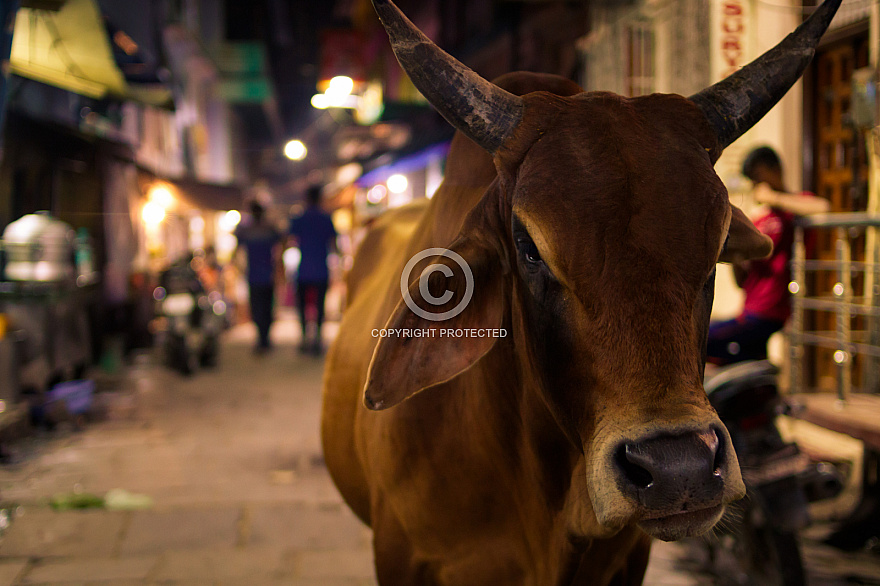 Varanasi