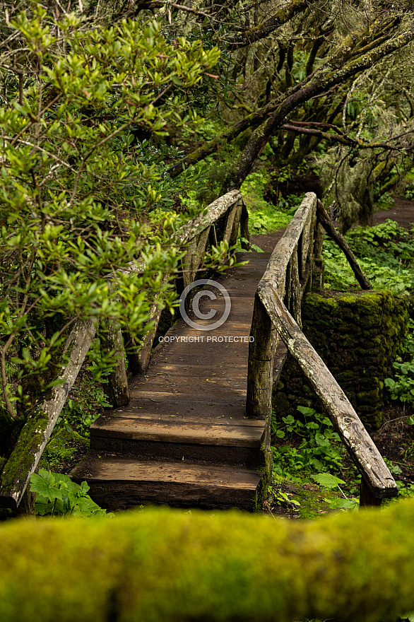 Sendero La Llanía